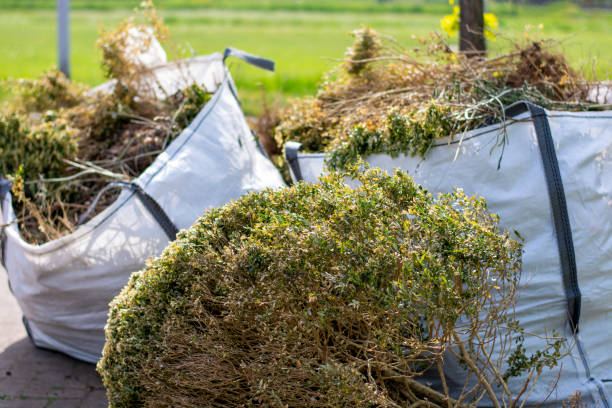 Best Junk Hauling Services  in Nashvle, IL