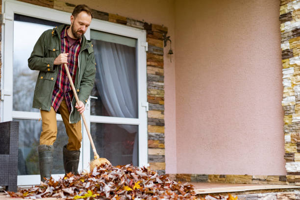 Attic Cleanout Services in Nashville, IL